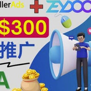 通过CPA推广平台Zeydoo日赚300美元：CPA Offer付费推广方法！